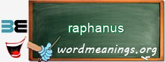 WordMeaning blackboard for raphanus